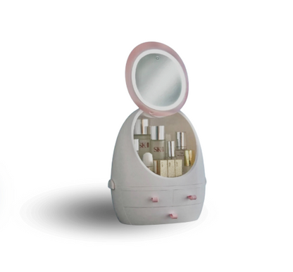 Cosmetics Storage Mirror